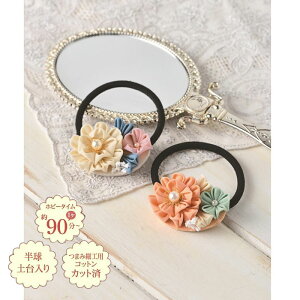 pi~ |Lbg Rbgnō iÂ̂܂ݍ׍H(N[) ܎OAƎɂ@LH-438@(񂹕i)@([։)