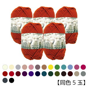 スキー毛糸タスマニアンポロワース 40g玉巻(約134m)同色5玉 (取り寄せ品) (メール便不可)