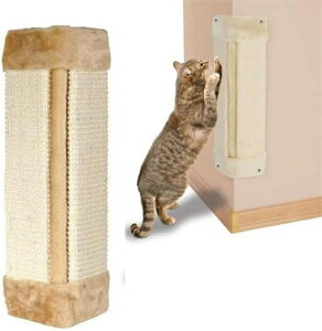 L̒܂݂ ܌ L ܂Ƃ{[h Lp cu  R[i[ Ƌ \t@[ ߂Ƃ ΍