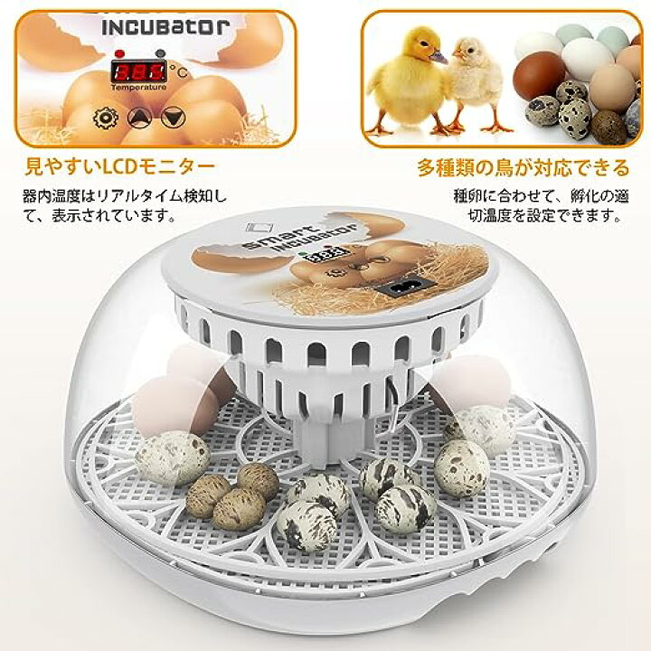 孵化用自動孵卵器 12 明確な視認性と湿度制御 鶏や自動ターナー孵卵器 
