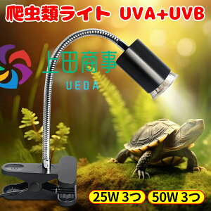 TCg ޗpCg ঒ރCg T  q[^[ iK 110V 25Wd3 50Wd3AiOz MсEM +Cg oXLOCg3 ۉd OCg w 3