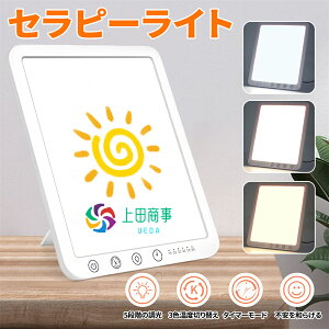 Ɠx Cg UVt[ 15000NX\ uCgCg xbhTChv LEDfCCgv FxA邳\ ItBX/ڂ/Ǐ/K/nȂǂɓKp