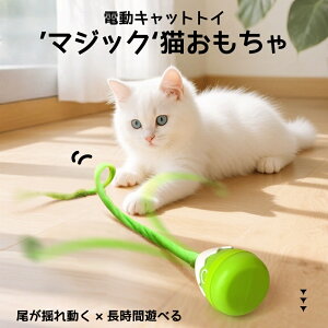 L  L炵 2in1 ˂̊ߋ  d L LV ˂p  USB[d ybg (ubN)