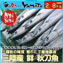 三陸産 鮮 秋刀魚 1尾140g以上保証 総重量2.8kg(18〜20尾入が目安となります) 食べ方ガイド付き 生さんま サンマ ランキングお取り寄せ