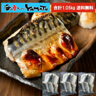 【無塩・無添加】トロサバ“骨取り”切身 大ぶり70g x 15枚=合計1.05kg 小分け350g (70g x 5枚) x 3パッ…