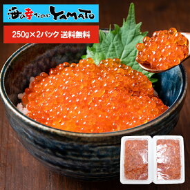 特選“鮭”イクラ醤油漬け 250g x 2パック（合計500g） 大粒で濃厚 白鮭魚卵 北海道釧路加工 魚卵 贈答 海鮮 お歳暮 プレゼント お歳暮 いくら