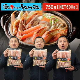 豪華化粧箱入り MSC認証 “生”本ズワイ蟹ハーフカットセット 750g【NET600g】 お刺身OK生食規格 蟹しゃぶ 年越しグルメ 海鮮 ギフト 内祝い お祝い お歳暮