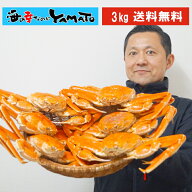 本ズワイ蟹姿造り 3kg(6尾入り) カニ かに 蟹 ずわい ずわいがに ずわい蟹 ズワイ ズワイガニ 蟹味噌 カ…