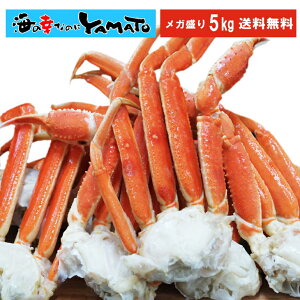 NtJnI{C{YCIr 5kg Jj  I 킢 킢 YC YCKj r D㓀 O 킢 j ̓ Ε 10lO Ε