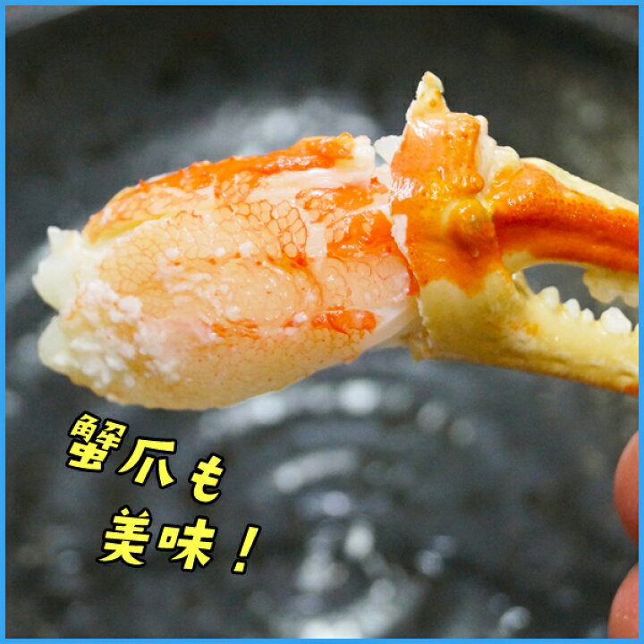 楽天市場】本ズワイ蟹豪華姿造り 特大660g前後サイズ2尾入りセット(合計1.3kg前後) カニ かに 蟹 ずわい ずわいがに ずわい蟹 ズワイ ズワイガニ 蟹味噌 カニ味噌 海の幸 敬老の日 お歳暮 お祝い お中元 : 海の幸なのにYAMATO 楽天市場】本ズワイ蟹豪華姿造り 特大660g前後サイズ2尾入りセット(合計1.3kg前後) カニ かに 蟹 ずわい ずわいがに ずわい蟹 ズワイ ズワイガニ 蟹味噌 カニ味噌 海の幸 敬老の日 お歳暮 お祝い お中元 : 海の幸なのにYAMATO