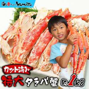 gJbgς݁h^oI 1kg nT~svIg̐SzȂIɑ̖_W`V`Iϔ NNn\t