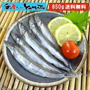 訳あり 子持ちシシャモ一夜干し たっぷり850g ししゃも 柳葉魚 干物【クーポンで580円OFF】