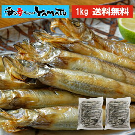 子持ち シシャモ 一夜干し 山盛り1kg(500g×2袋) アイスランド産 ししゃも カペリン おつまみ