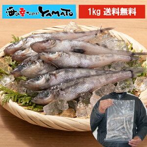 gɂĎ|I OΊY qJ 1kg (35O) ΊY ߂Ђ ڌ g VՂ