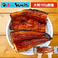 【赤字覚悟の在庫処分特価】【5尾セットで送料無料】大型165サイズの鰻蒲焼！田中さんが無投薬で育てた鰻…