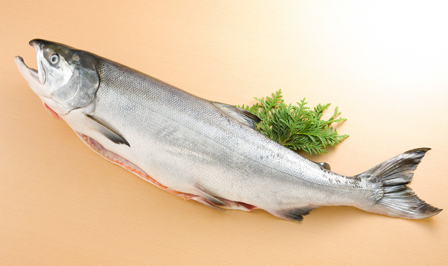 筋 トレ 魚 おすすめ
