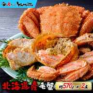 北海道オホーツク産 浜茹で毛蟹 大型570gサイズ×2尾入 合計1,14kg 化粧箱入り 堅蟹 カタガニ かたがに …