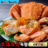 ＼クーポンで1,000円OFF／北海道オホーツク産 浜茹で毛蟹 大型500g または 570gサイズ×2尾入 化粧箱入り…