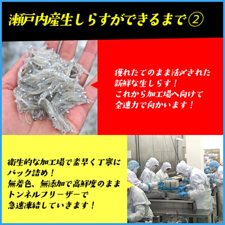 楽天市場】生しらす200g 無添加 瀬戸内産 海鮮丼に 冷凍食品 無着色 シラス お中元 : 海の幸なのにYAMATO 楽天市場】生しらす200g 無添加 瀬戸内産 海鮮丼に 冷凍食品 無着色 シラス お中元 : 海の幸なのにYAMATO