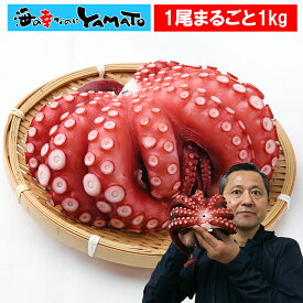 北海道産・北海道加工！ 旨味たこ 一尾丸ごと1kg前後 蛸 タコ たこ 御節 お節 お中元 タウリン