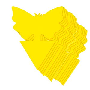 �ߒ��V�[�g �h���V�[�g �S���� �Q���ߊl�S���� �����V�[�g �A�ؔ� �� 50���Z�b�g