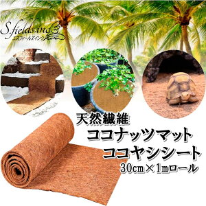 S.fields.incKcX RRibc}bg RRVV[g ঒ރ}bg |V[g Aؔ  ݂蔫 30cm×1m[