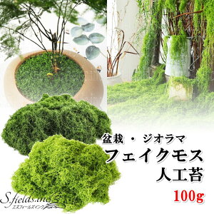 S.fields.incKcX lH 100g ~ tFCNXO[ A 뉀  ϗtA ͌^ WI}