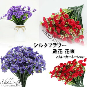 S.fields.incKcX  ԑ u[P J[l[V ݂ 5 VNt[ vX`bN ̓