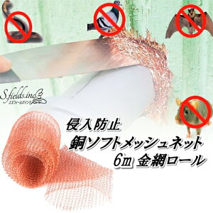  bV lY~悯  lbg iNW Nh~ o 12.7cm 6m[