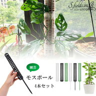 S.fields.inc正規直営店 モスポール 支柱 4本セット 連結可 観葉植物 モンステラ プラスチック 園芸 植物…