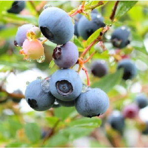 u[x[ T~bg 3.5|bg 2Nc }ؕc TUnCubVn