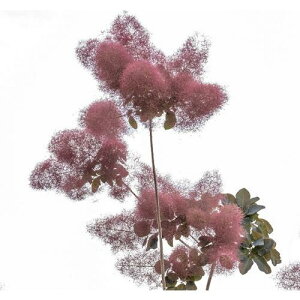 yyVX[p[Z[zX[Nc[ O[X 3.5|bgc@}ؕc