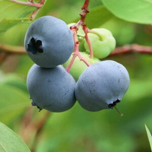 u[x[ pgIbg 3|bg }1N m[UnCubVn c