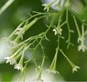 yyVX[p[Z[zRE{Ni鍁؁j3.5|bgc