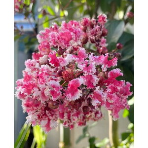 yyVX[p[Z[zTXx čՂiyp[~g[Xj 4.5|bg }ؕc