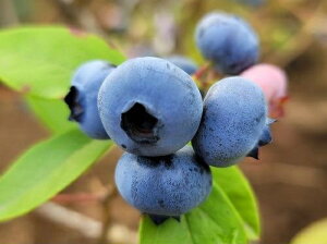 u[x[ `h[ 3|bg }1N m[UnCubVn c