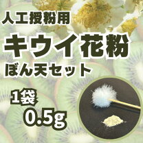 楽天市場】キウイ 受粉 用 花粉の通販