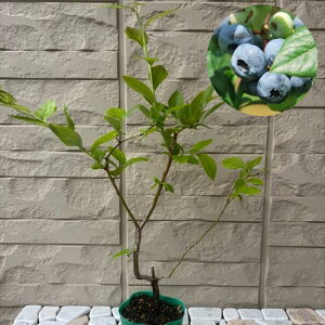 u[x[ u[C 3|bg }1Nc m[UnCubVn c