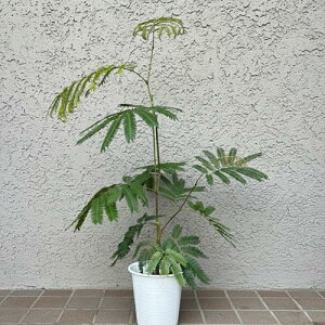 yyVX[p[Z[zGo[tbV 5|bg AJTlmL