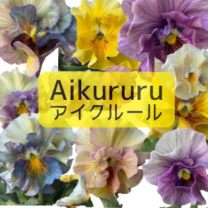 rI ACN[ ԐF܂ 3 3|bgc ԕc