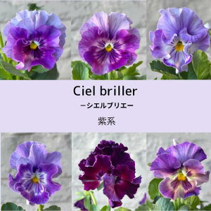 pW[ VGuG 3 n 3~3.5|bgc ԕc