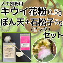 キウイ花粉0.5g・ぼん天・染色石松子(ピンク)5gセット