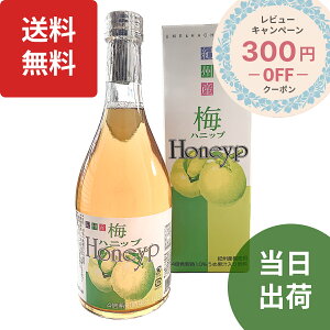 ~njbv590g ~Vbv ~W[X t ~hN mAR[ ~nj[ vHi Honeyp a̎RY IB ~
