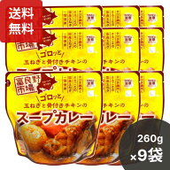 楽天1位 富良野市場 玉ねぎとチキンのスープカレー 260g×9個セット スープカレー カレースープ 富良野 …