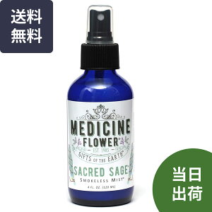 yV1 Z[W  Xv[ 120ml Z[NbhZ[WX[NX~Xg zCgZ[W Xv[ Z[W Xv[ ߃Xv[ 򉻃Xv[ Z[W  ߃Xv[  Xv