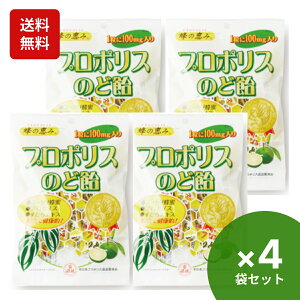 yV1 Tt[ v|X̂ǈ 80g×4 v|X̂ǈ v|XLfB ̂ǈ v|X  v|X ̂ǈ v|X LfB[ Y