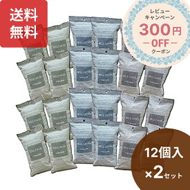 テイジン 乾っと ソフトパックドライ レギュラーサイズ24個 12個入り×2セット 除湿剤 乾燥剤 ベルオアシス BELLOASIS 抗菌 革靴 まくら 汗臭 消臭 靴箱 下駄箱 再利用 エコ 梅雨 TEIJIN 帝人 送料無料