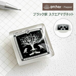 n[|b^[ ObY FLAPPER tbp[ ubN XNGA}Olbg KX}Olbg fB[X Y }Olbg  ①   킢   IV 