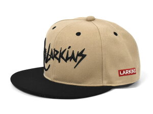 LARKiNS ���[�L���X �A�N���� �h�J ���S �x�[�X�{�[���L���b�v /�����Y ���f�B�[�X �L���b�v �X�q CAP �j�����p BB�L���b�v �X�g���[�g�L���b�v ���S�L���b�v �X�i�b�v�o�b�N�L���b�v �X�g���[