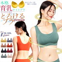 【ポイント10倍 2/23～3/2】とろけるブラ プレミアム ナイトブラ ブラジャー ノンワイヤー 育乳ブラ バストアップ シームレス 安い スポーツブラ バストケア 夜用 補正下着 谷間 ホールド感 盛れる 美胸 かわいい ブラ ノンワイヤーブラ 育乳 昼夜兼用 大きいサイズ